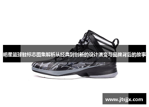 明星篮球鞋标志图集解析从经典到创新的设计演变与品牌背后的故事