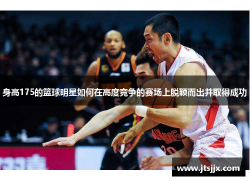 身高175的篮球明星如何在高度竞争的赛场上脱颖而出并取得成功