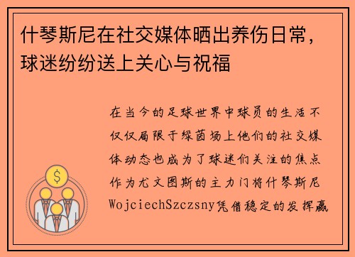什琴斯尼在社交媒体晒出养伤日常，球迷纷纷送上关心与祝福