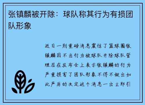 张镇麟被开除：球队称其行为有损团队形象